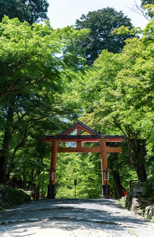 a japanese shrine entrance surrounded by trees on a hill