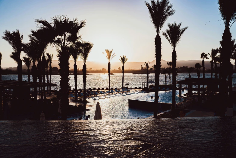 the sun is setting over a body of water near palm trees