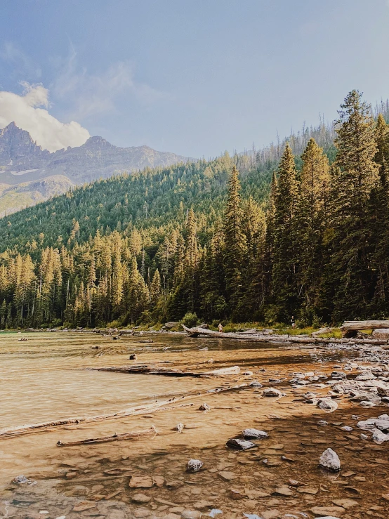 an image of a beautiful nature view of a lake