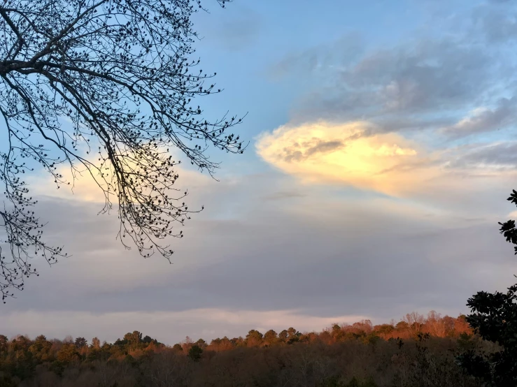 the light is shining brightly from behind the trees