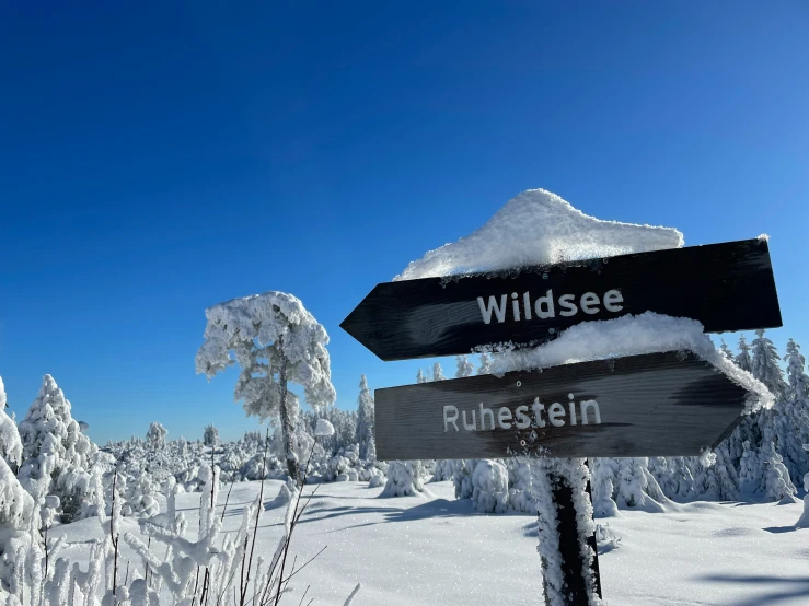 a sign in the snow that says wildsee, pinestiin and forest