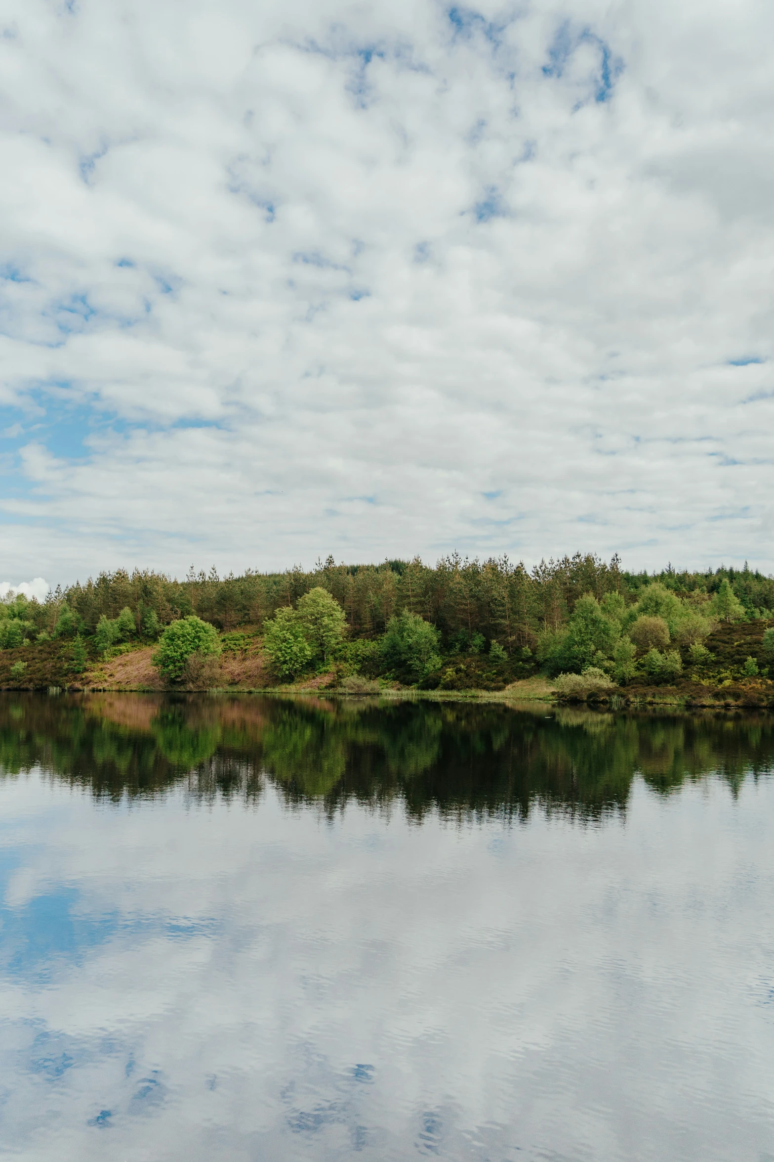 a small body of water with a forest and blue sky