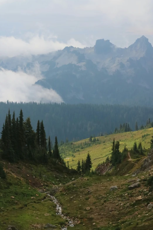 a mountain has a stream running along it and a small stream is at the bottom