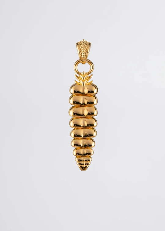 an object that looks like a gold necklace