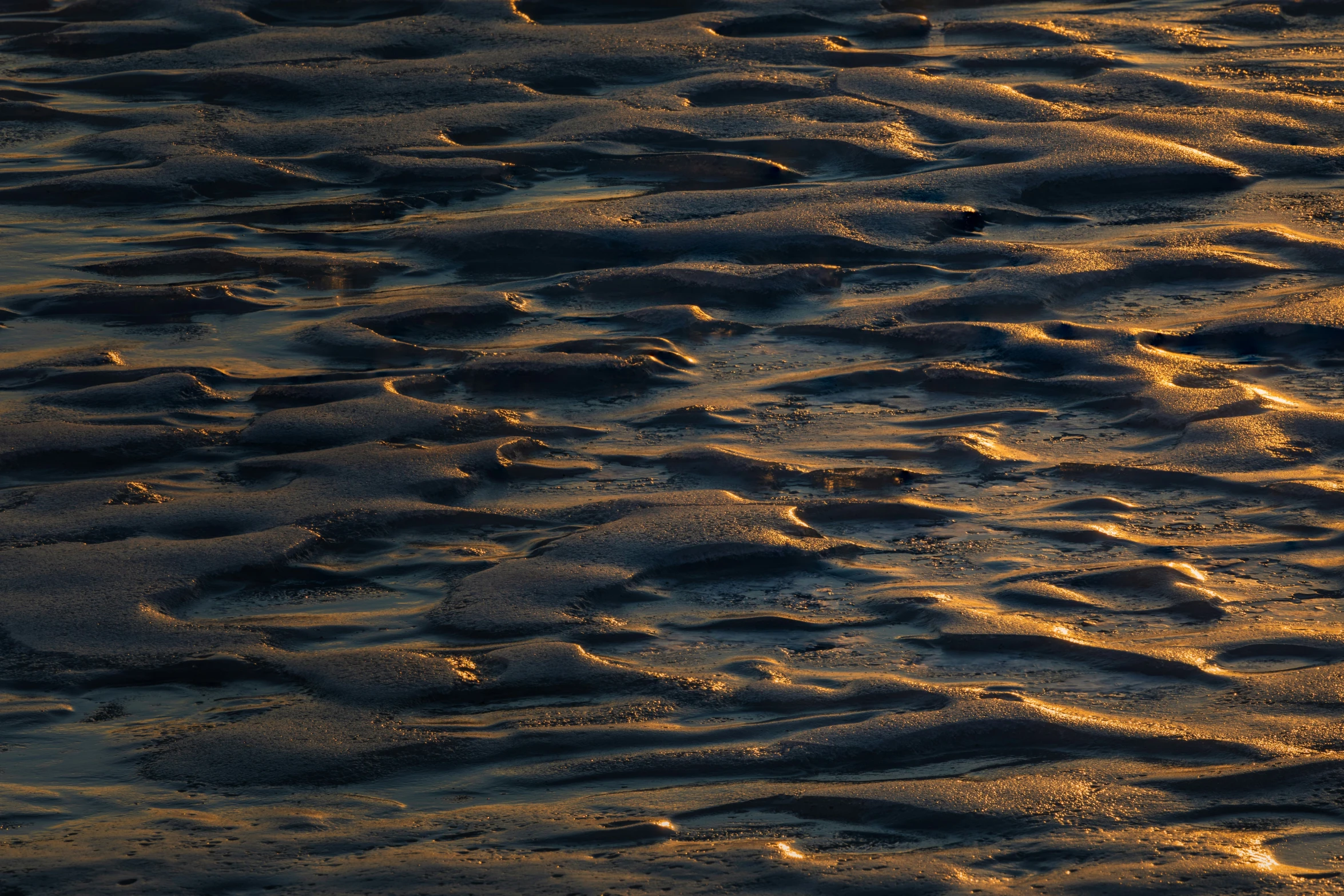 sun reflecting in the wet sand of an ocean beach