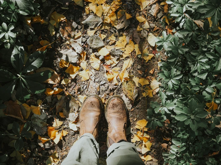 a person wearing green pants and walking through leaves