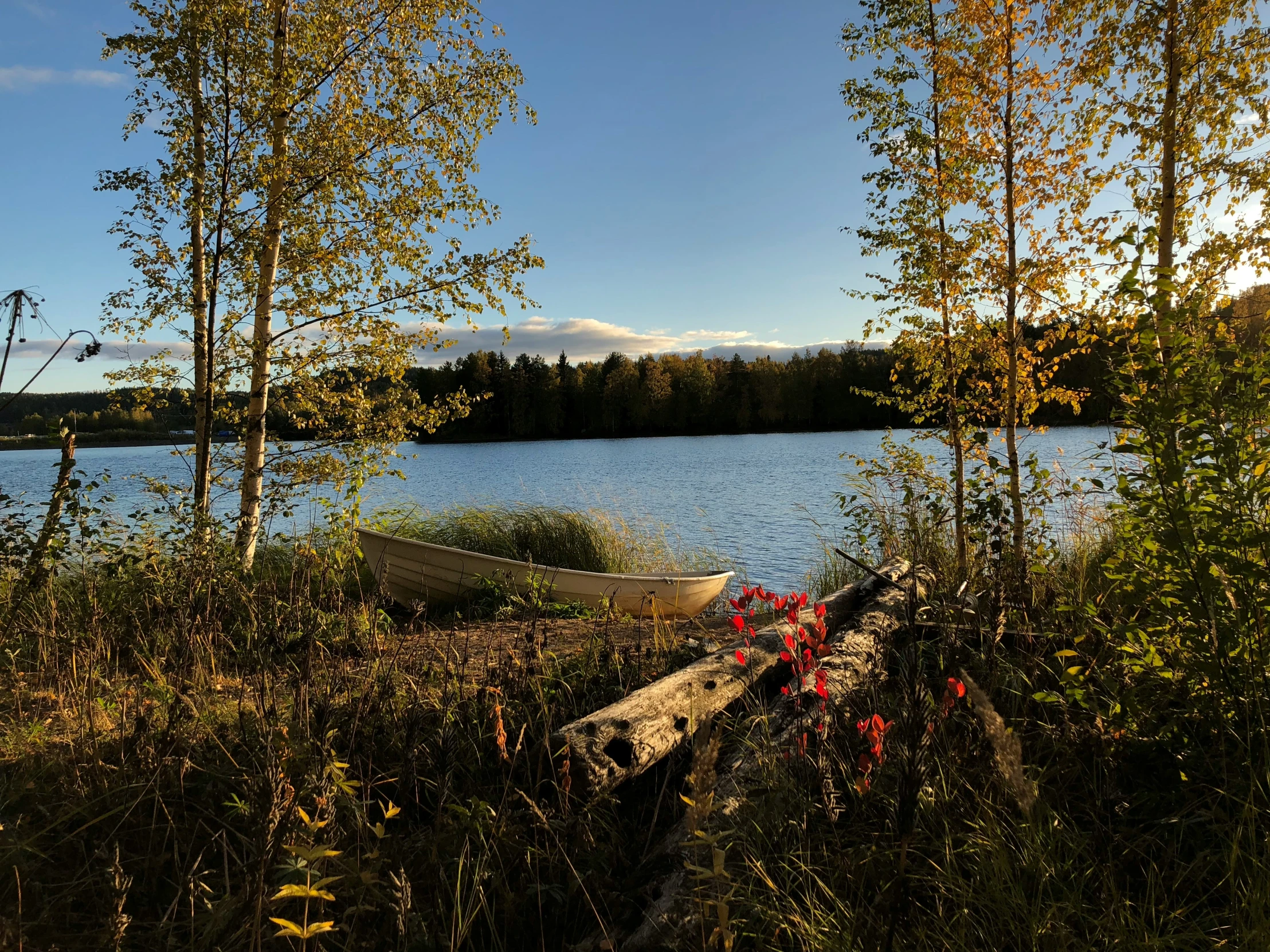 canoe resting on log near river during autumn