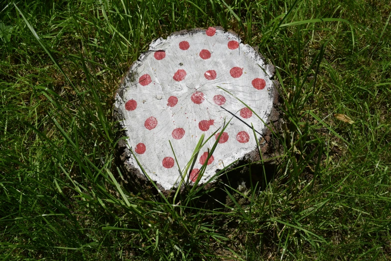 a stone heart is sitting on grass