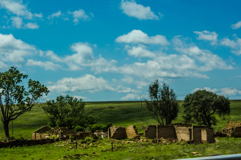 an image of a field of green grass with trees