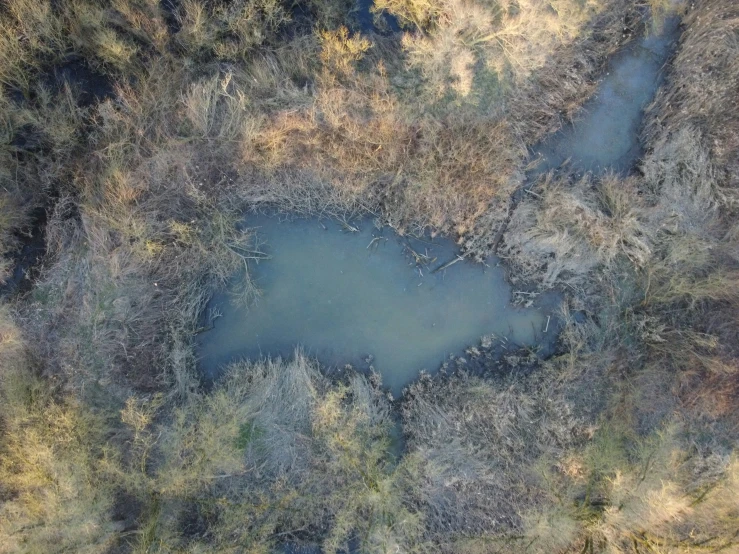 an aerial view of a large lake surrounded by trees