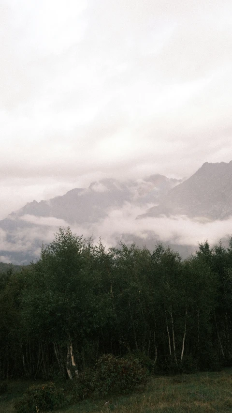 a small mountain is filled with thick clouds and trees