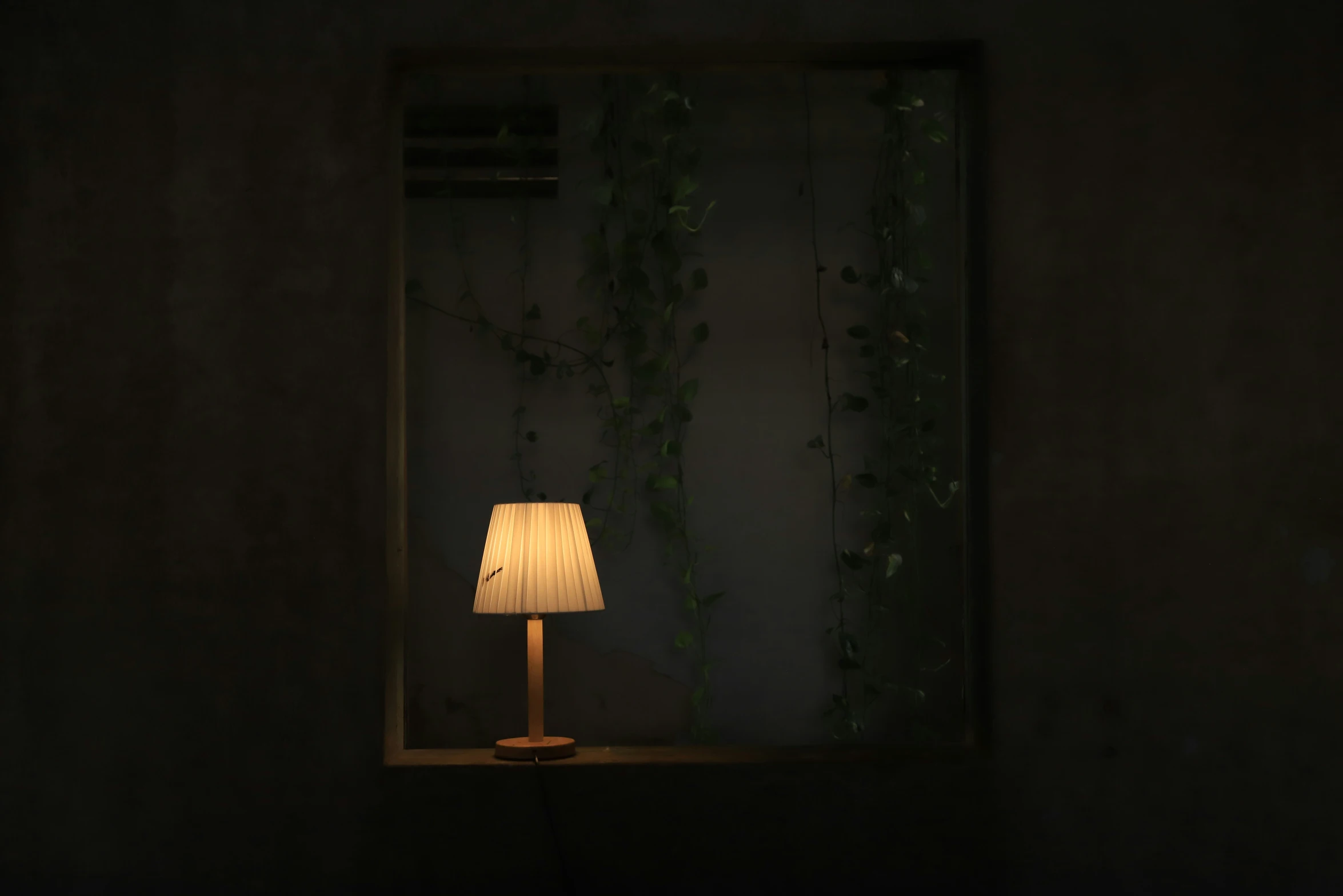 a white light sits in front of an area with vines