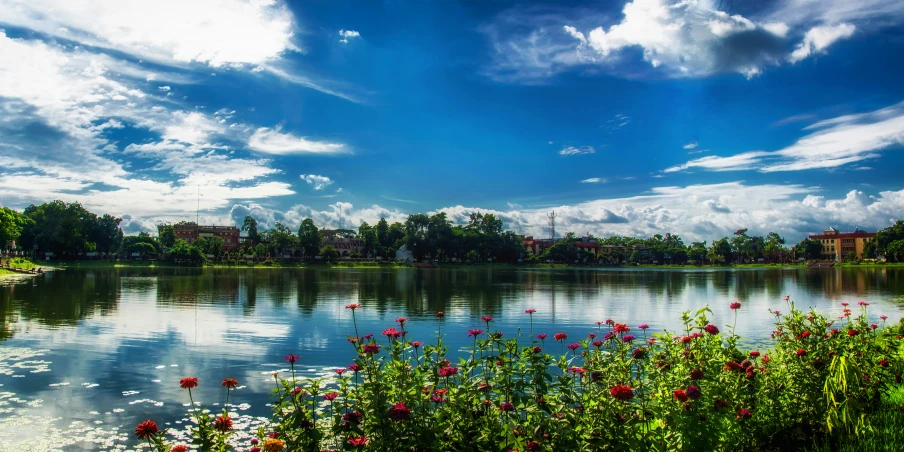 a lake with flowers in the foreground and clouds in the background