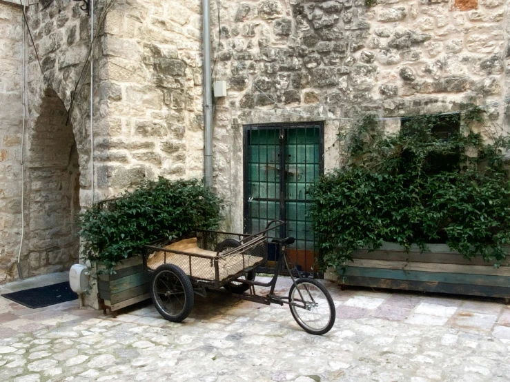 a bicycle that is parked next to some flowers