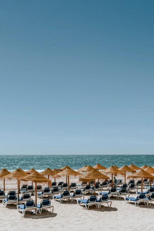 a large array of beach chairs with umbrellas in the sand