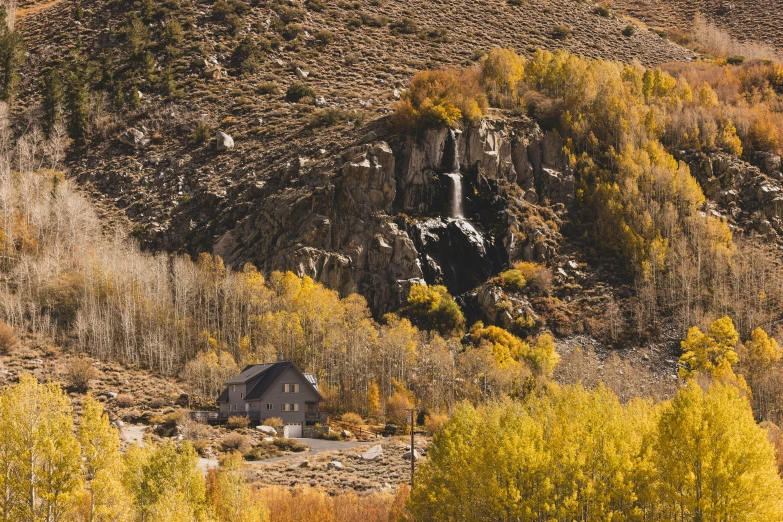 a hillside covered with bushes and shrubs in autumn