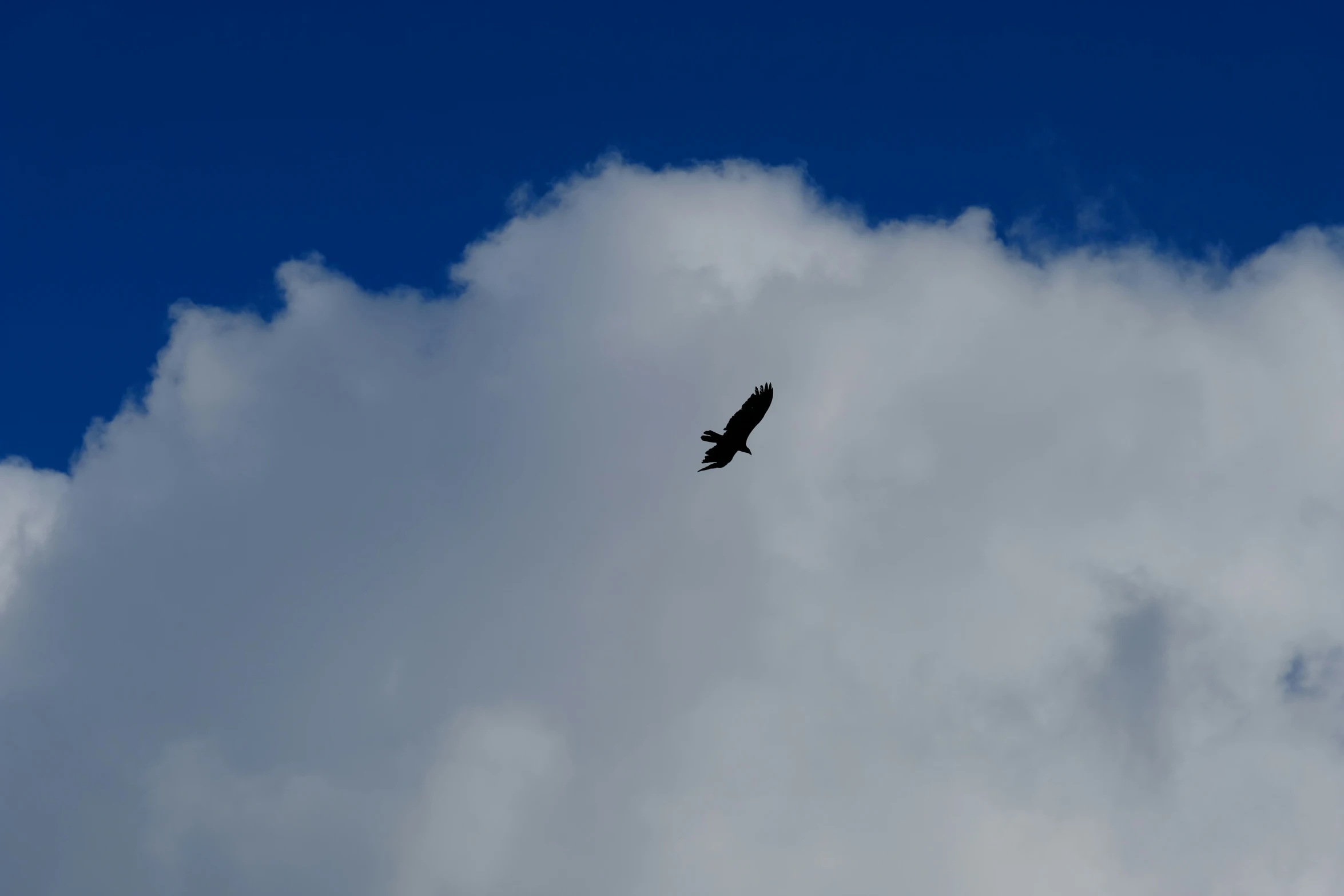 an airplane flying through the cloudy blue sky