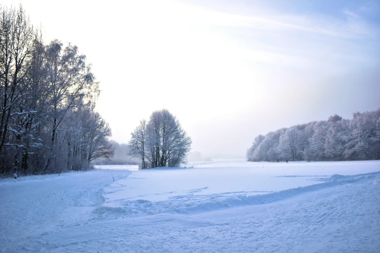 snow covered field with footprints on it in front of trees