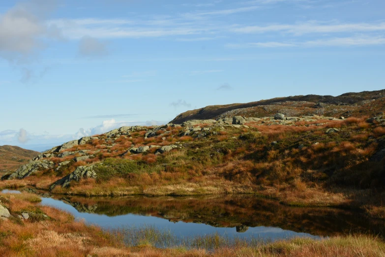 a landscape po that shows grass, rocks, and a body of water