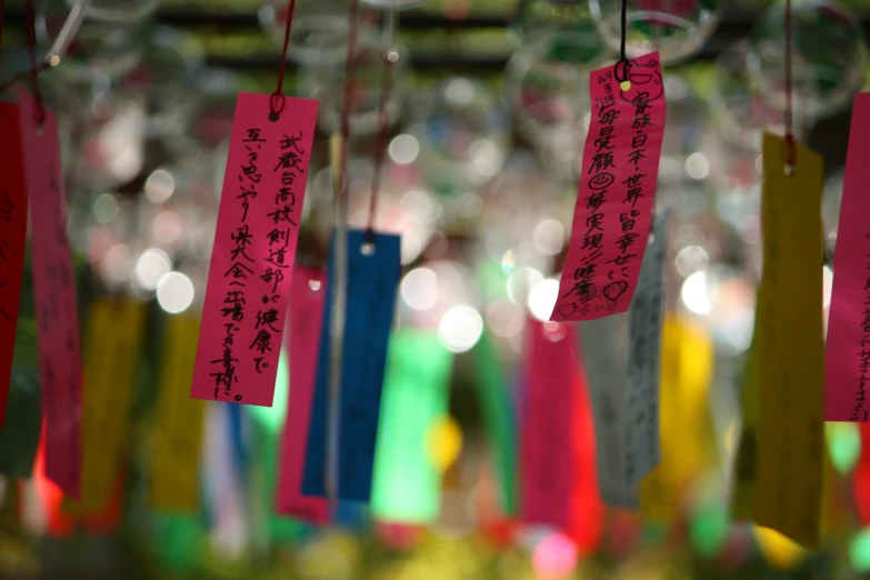 a number of tags attached to a wire with a tree in the background