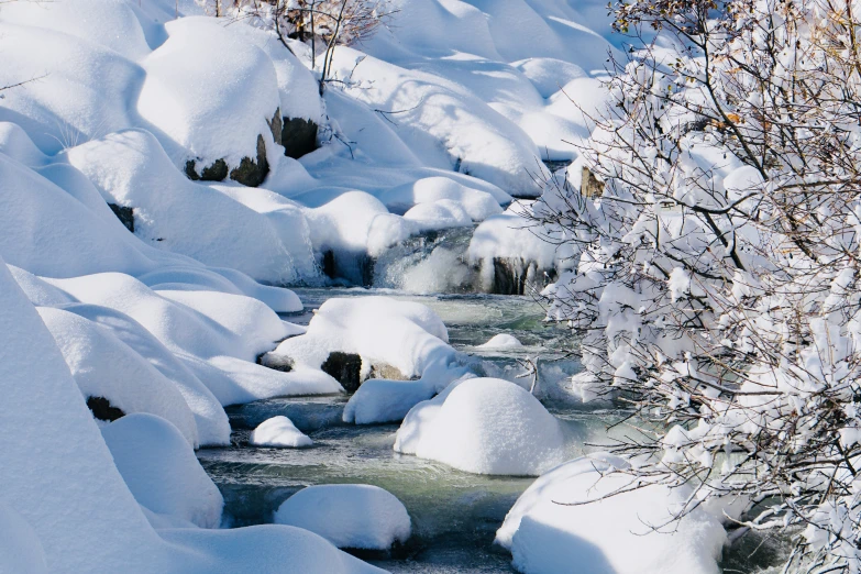 a small creek with lots of snow and tree nches