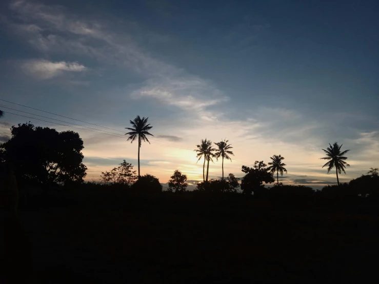 the sun sets behind three palm trees in the horizon