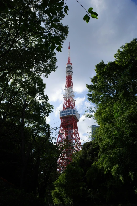 view of the eiffel tower from below through a park