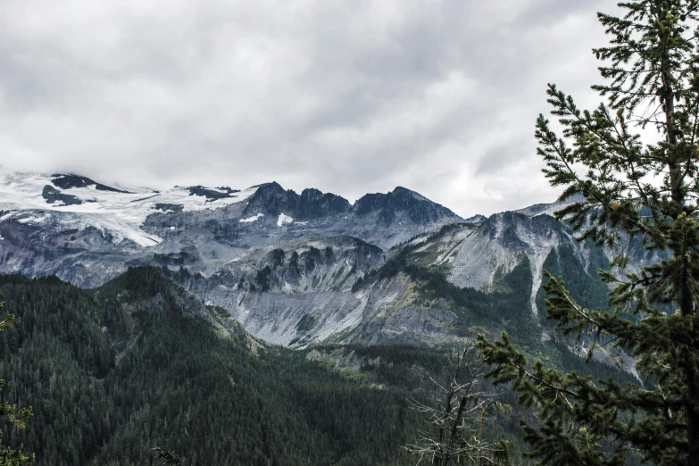 mountain ranges under grey sky, with evergreen tree to the left