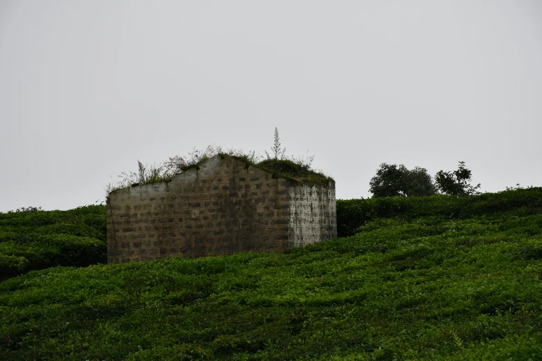 a small structure on the side of a hillside covered in grass