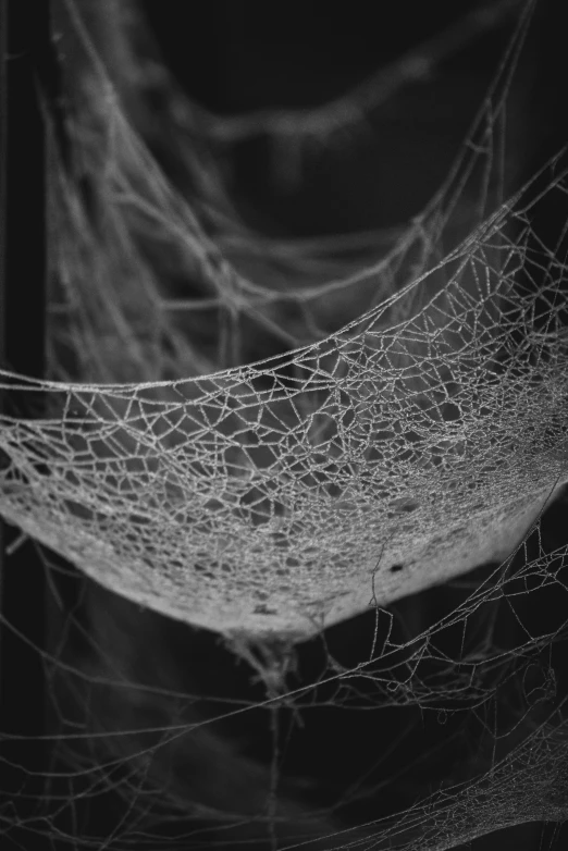 a close up of a spider web on a dark background