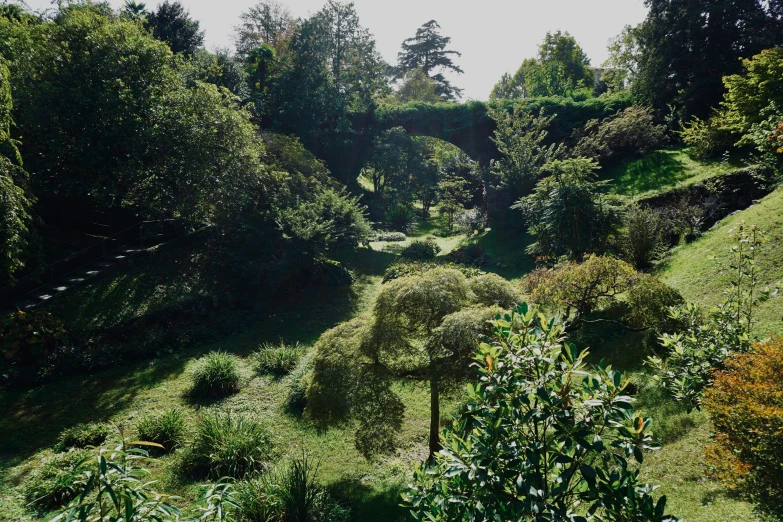 a lush green field with a tree covered hill