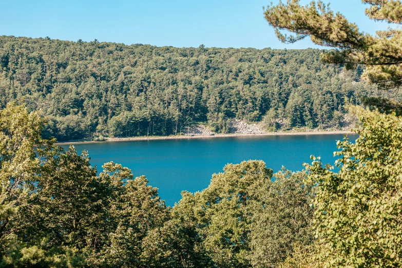 a lake surrounded by lots of trees near the mountains