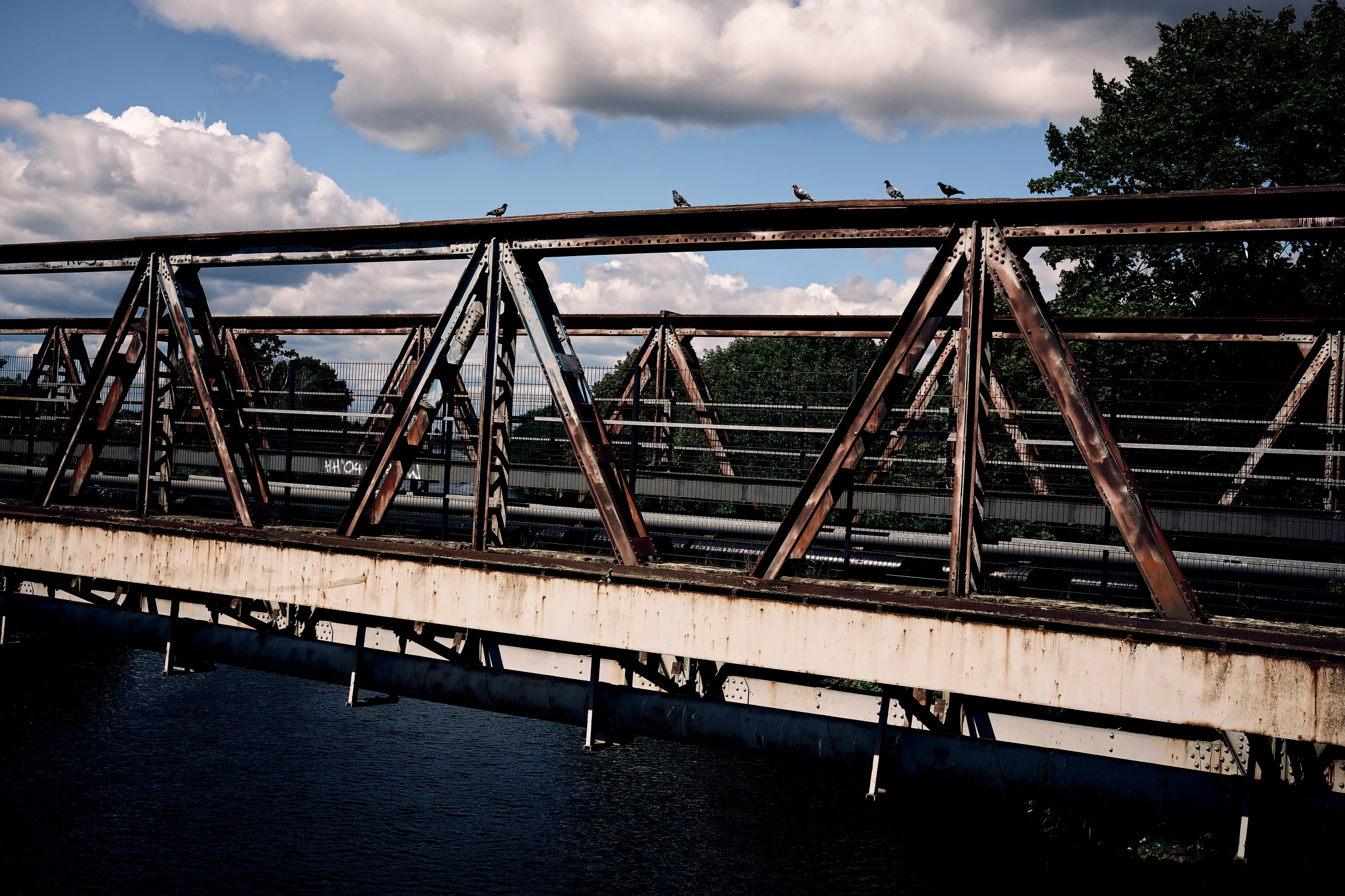 a railroad bridge with birds sitting on it