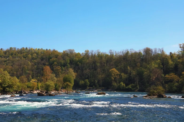 a stream with some rapids near the water