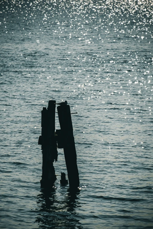 the two pieces of wooden are stuck in the water