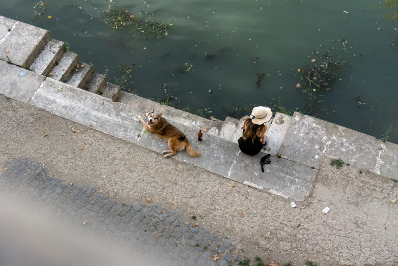 two dogs are sitting on a concrete ledge beside a waterway