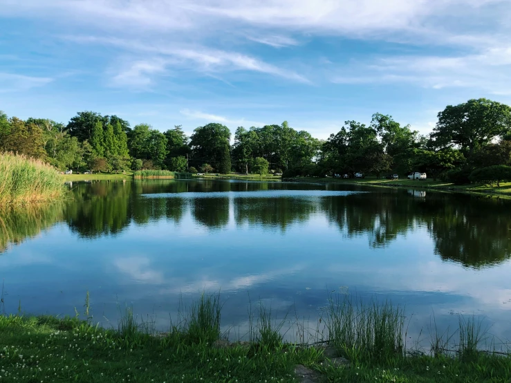 the reflection of trees in the water is still as far as i can see