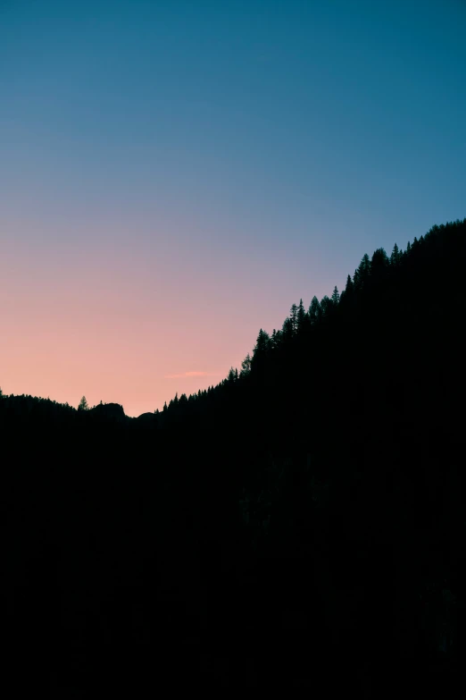 the silhouettes of a forest against a blue sky