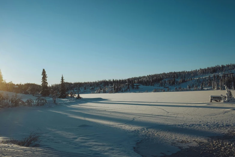 a scenic s of the back country of trees in winter