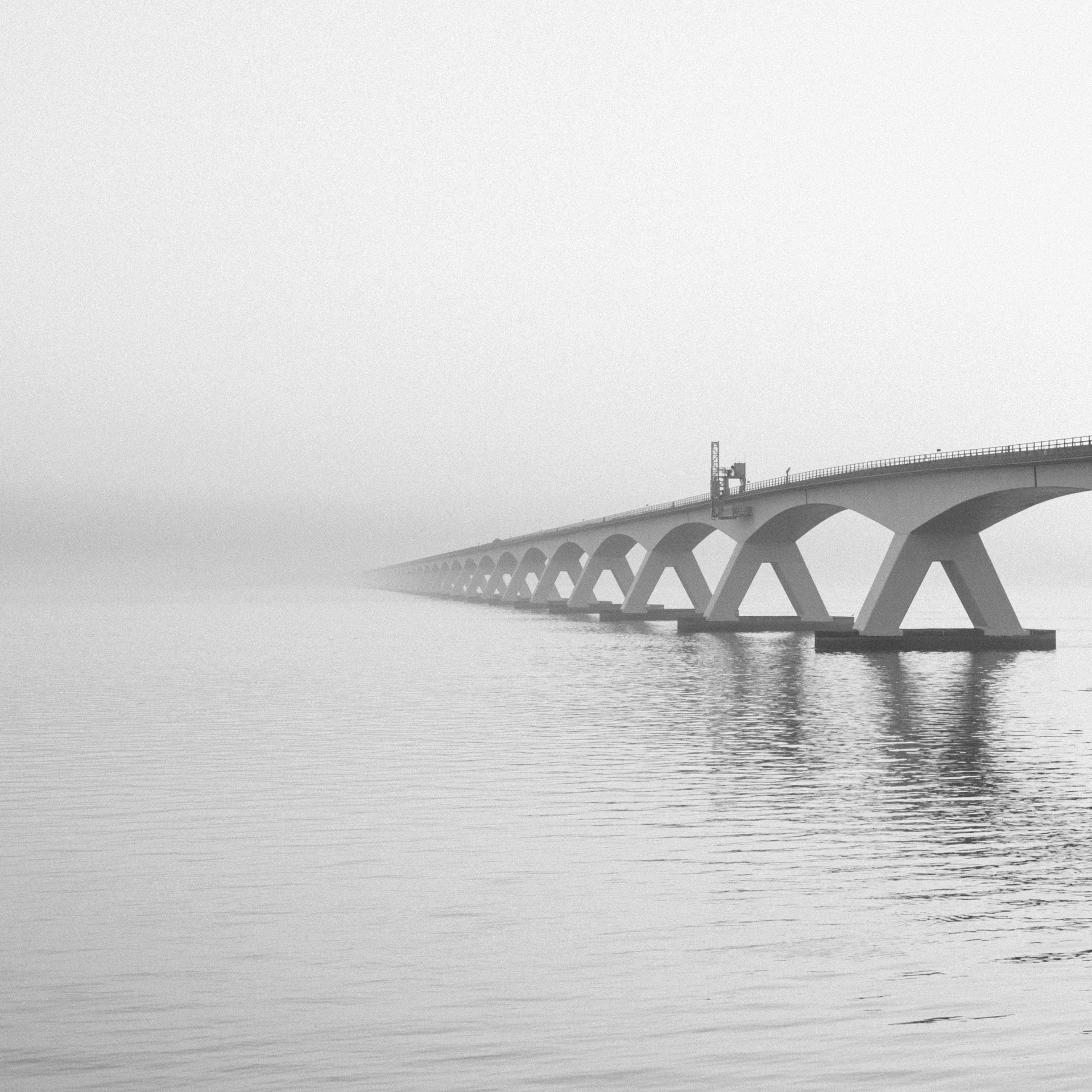 the long pier is in a foggy harbor