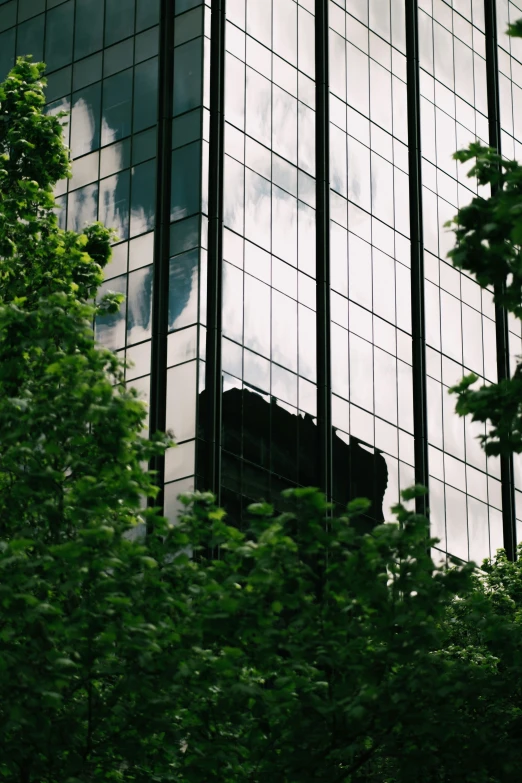 an image of reflection in the windows of a high rise building