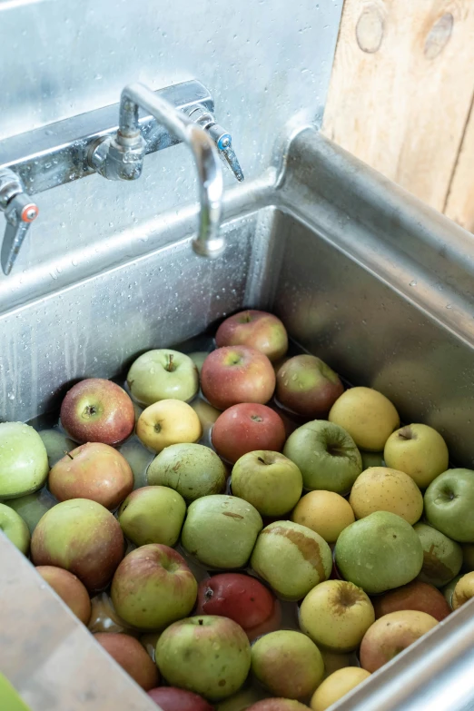 a metal sink filled with apples inside of a room