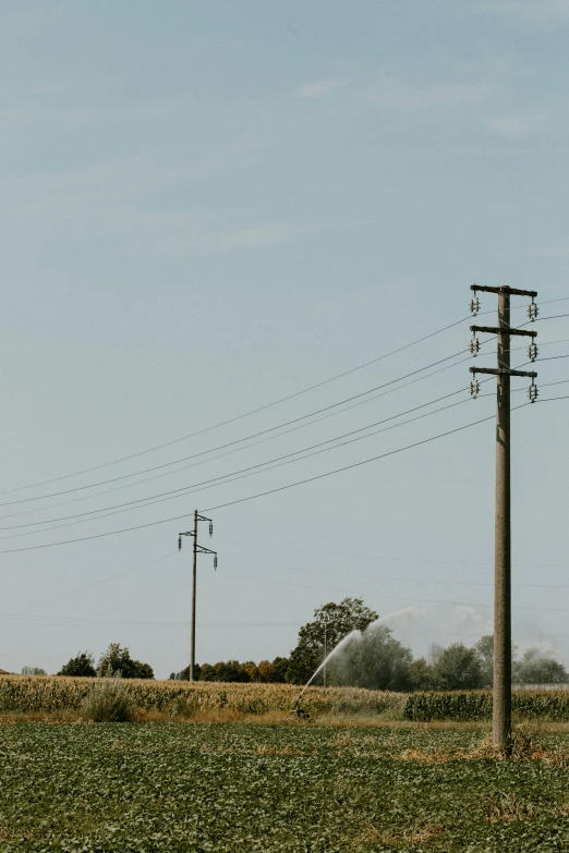 two poles are near each other in a grassy field