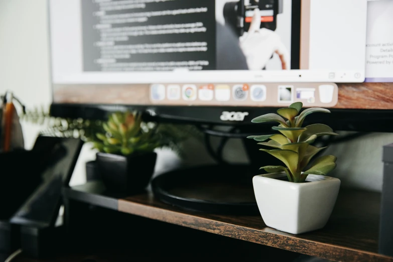 two potted plants sitting on top of a wooden table