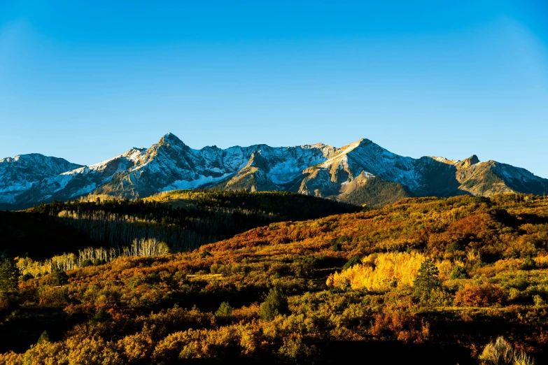 a mountain with lots of trees and mountains