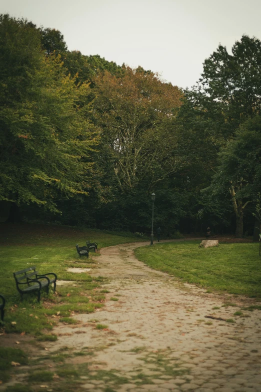 a dirt path winds through a park with benches