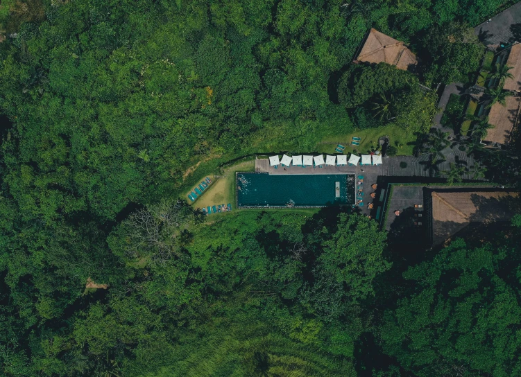 an aerial po of a swimming pool surrounded by lush green trees