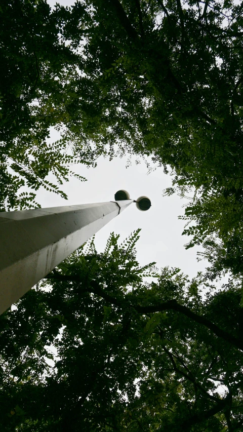 the bottom of some kind of tower surrounded by trees