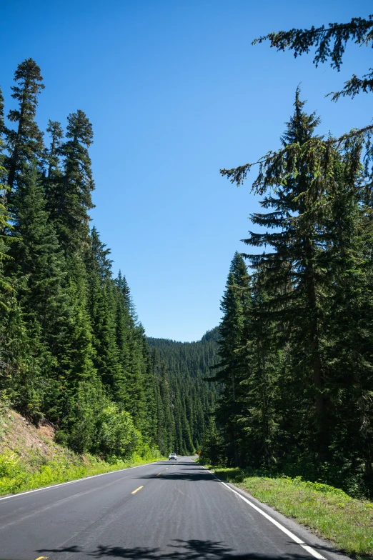 a street that has trees and a road sign on it