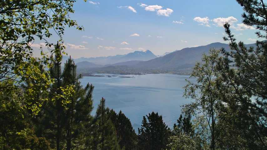 a lake surrounded by trees with mountains in the distance